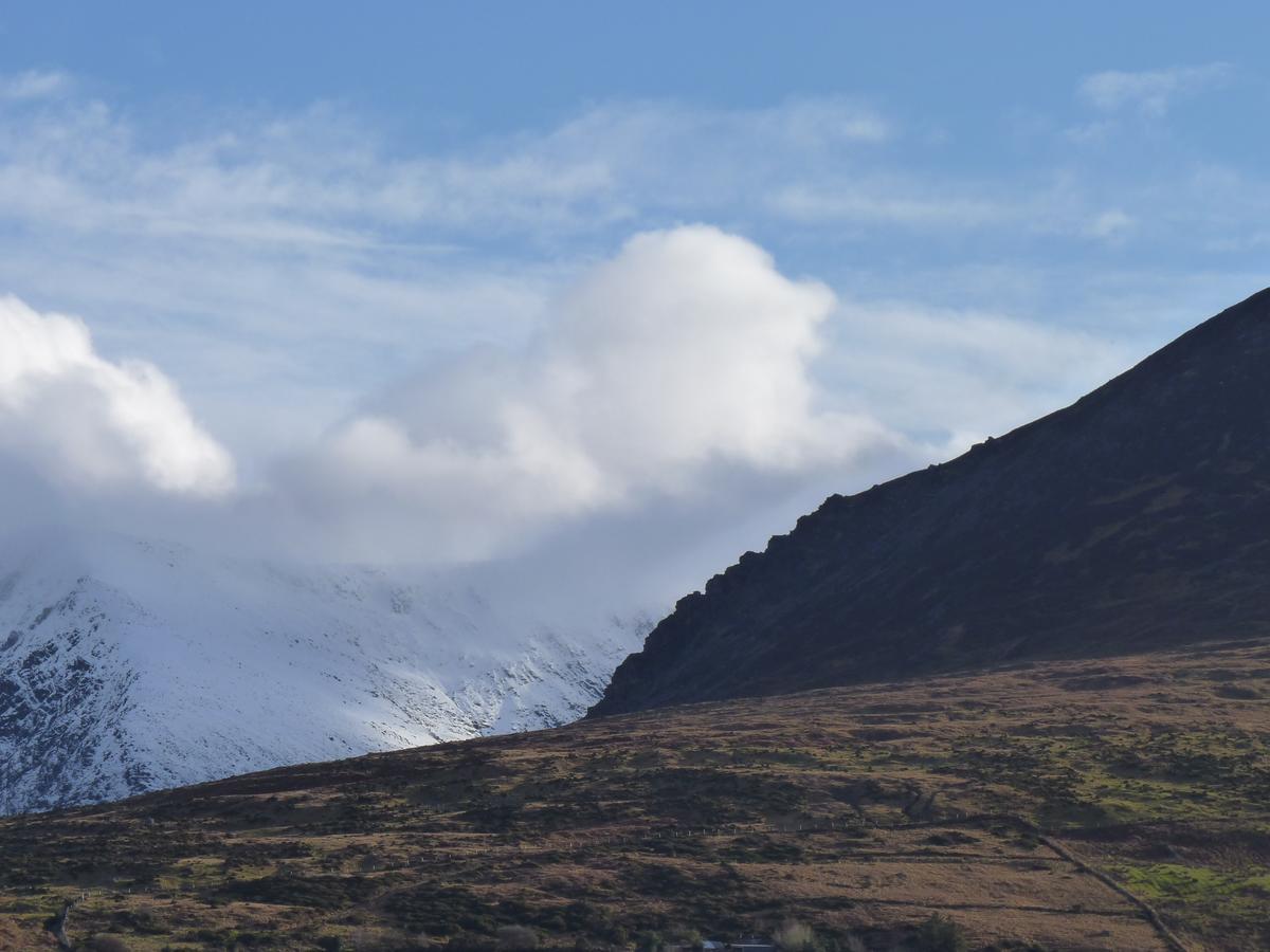 The Reeks Cottage Killarney Dış mekan fotoğraf